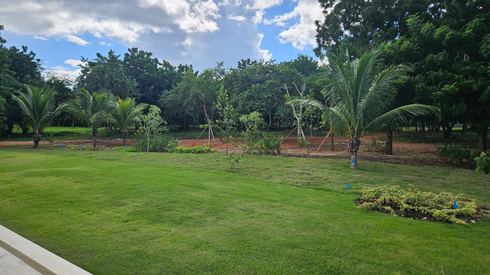 WhatsApp Image 2025-11-05 at 18.23.29_130d7866